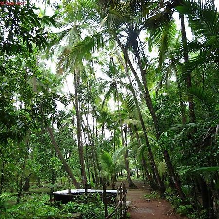 Saaj Resort Dapoli Luaran gambar